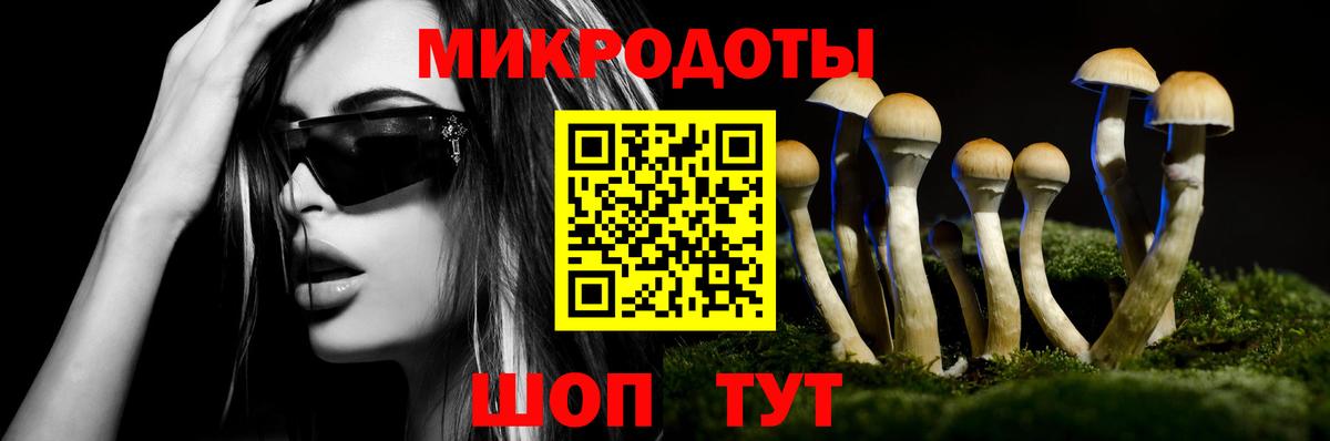Псилоцибиновые грибы Psilocybe Похвистнево